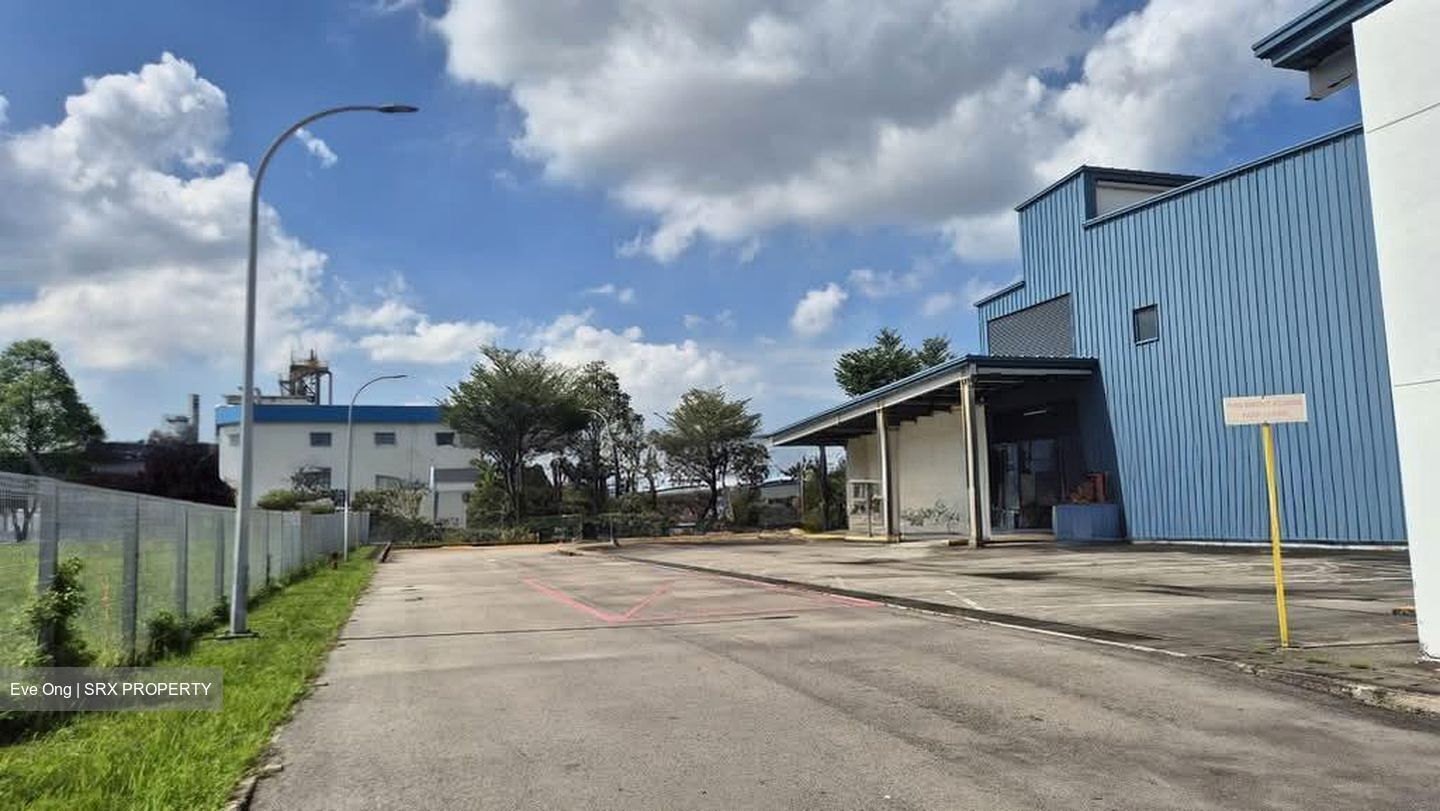 Tuas Road (D22), Factory #557743951